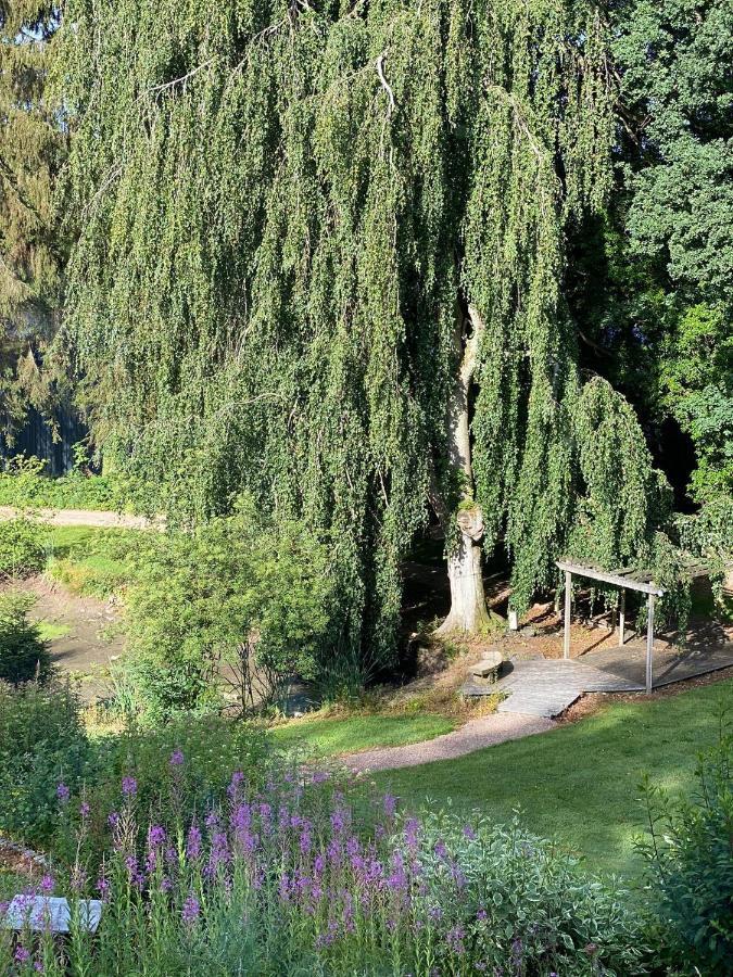 Parkhotel Villa Des Effats Vielsalm Kültér fotó